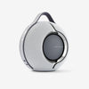 Devialet Mania – Tragbarer Hi-Fi-Smart Speaker - Grau