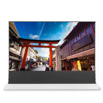 PRO ALR Electric Tab Tension Bodenleinwand (8527649931612)