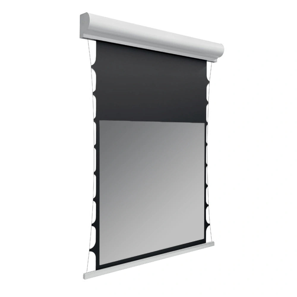 Deluxx Dayvision Kontrastleinwand II