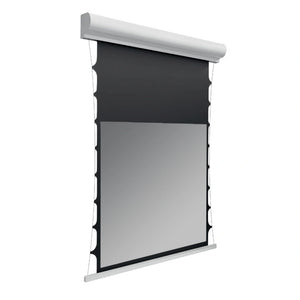 Deluxx Dayvision Kontrastleinwand II