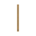 BEC Akustik IC 50 EVO Center Gold