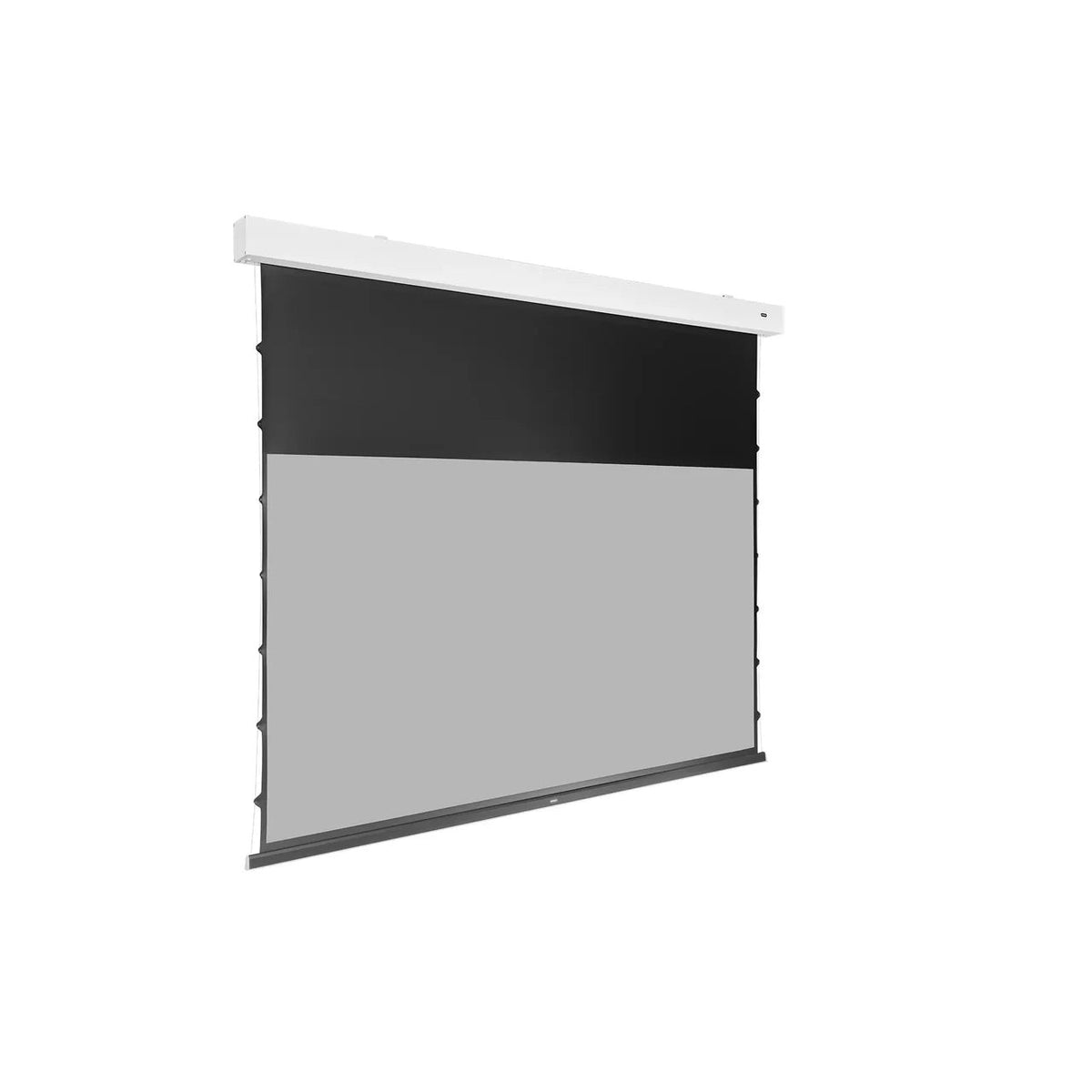 celexon Greyvision Motorleinwand Tension