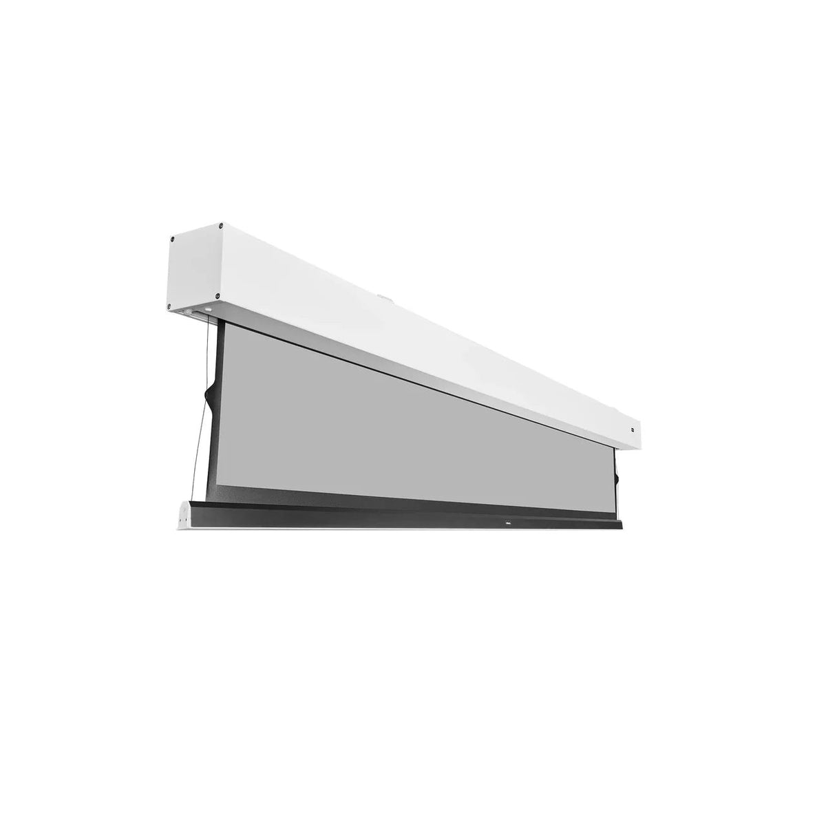 celexon Greyvision Motorleinwand Tension