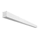 celexon Greyvision Motorleinwand Tension