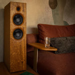 Magna Audio DSF-26 Standlautsprecher