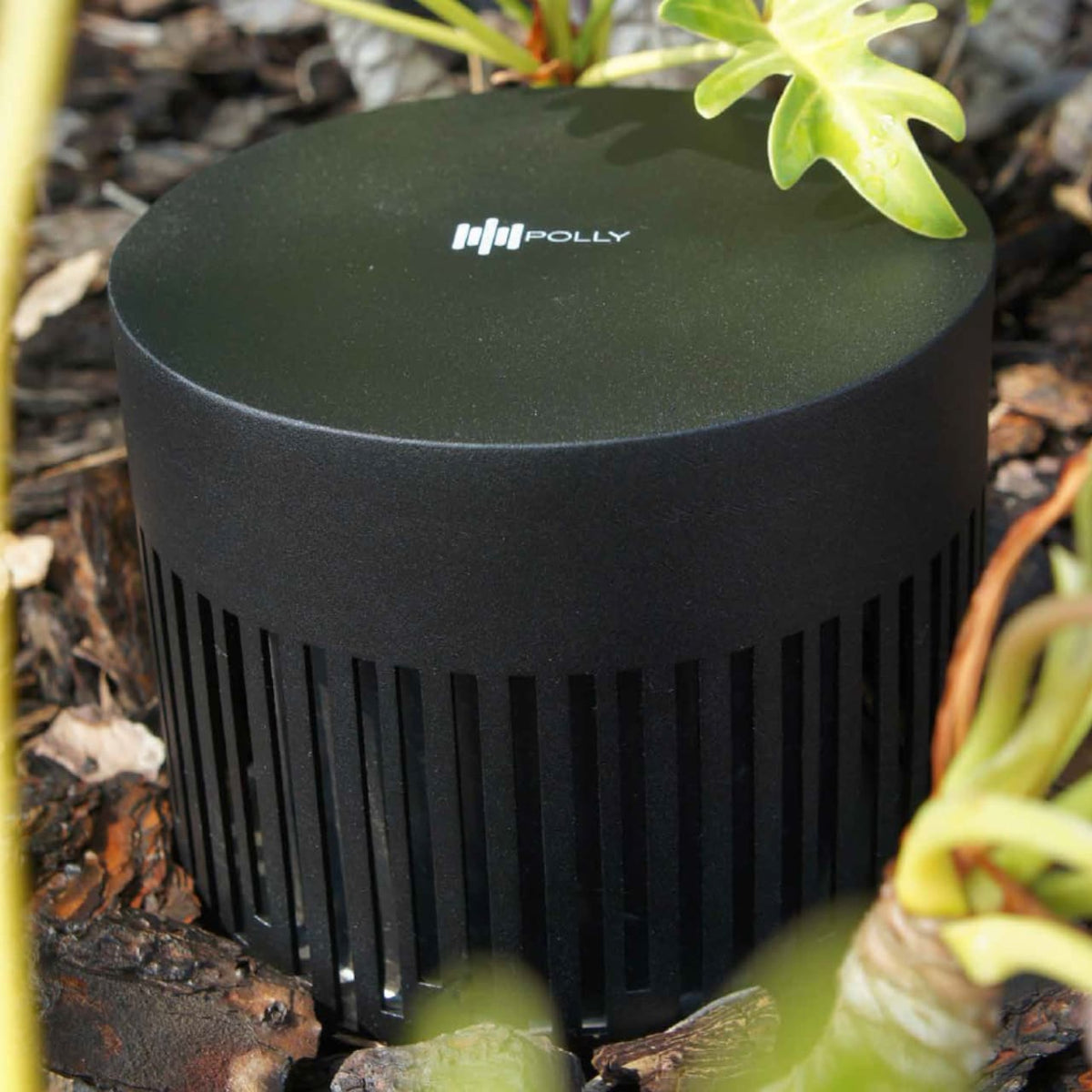 Magna Audio Polly Sub 8 Outdoor-Subwoofer für das Erdreich