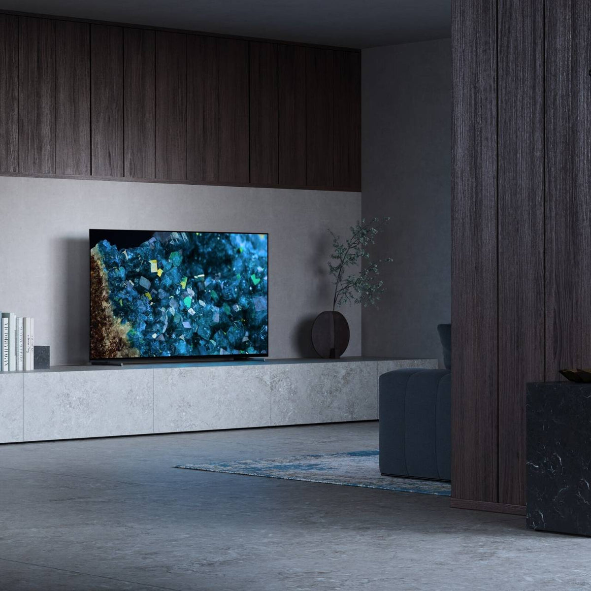Sony BRAVIA FWD-65A80L 65 Zoll 4K-OLED-Display im Wohnraum