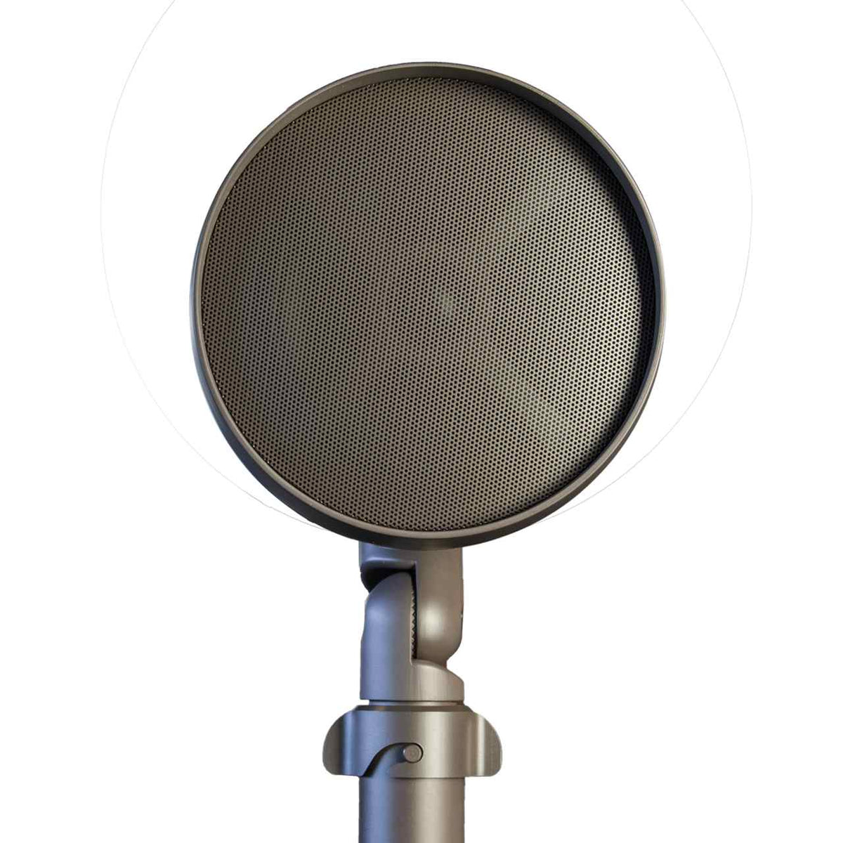 TruAudio AS10 Outdoor-Erdspieß-Lautsprecher 4"