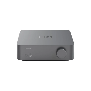 WiiM Vibelink Amp