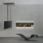 Wissmann ceiling art116